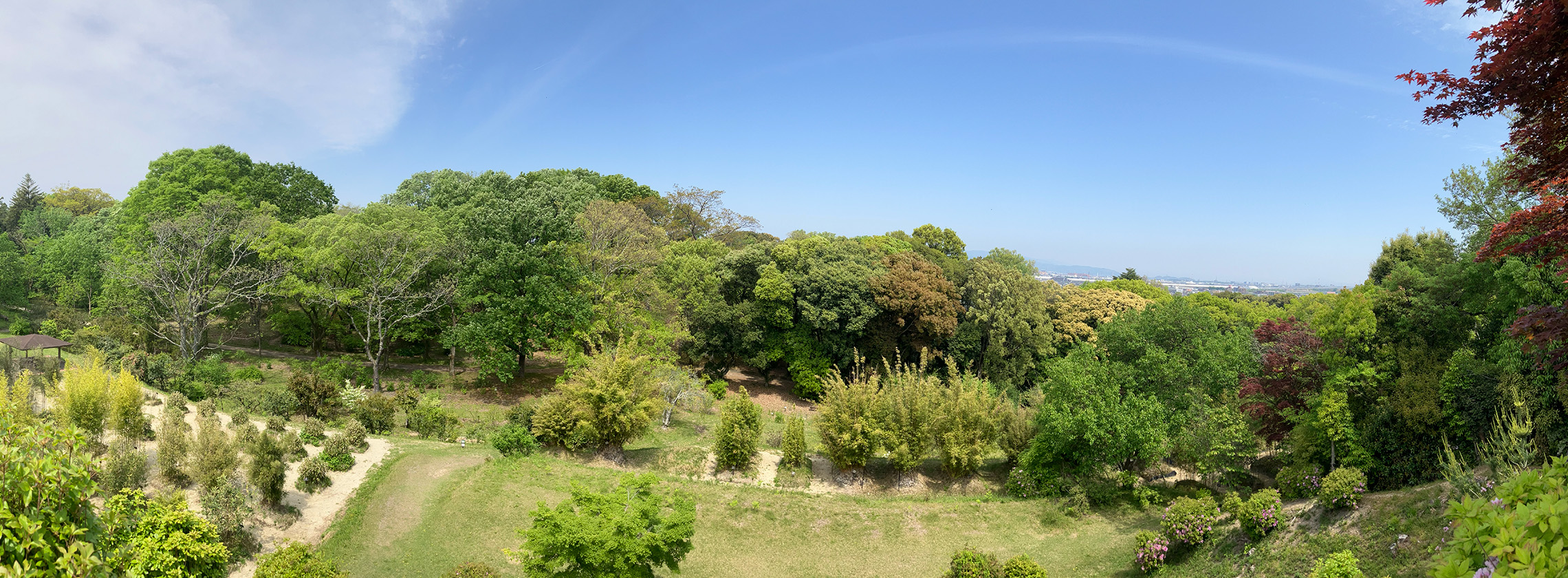 Botanical garden view May