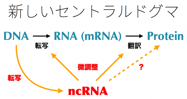 rna_01