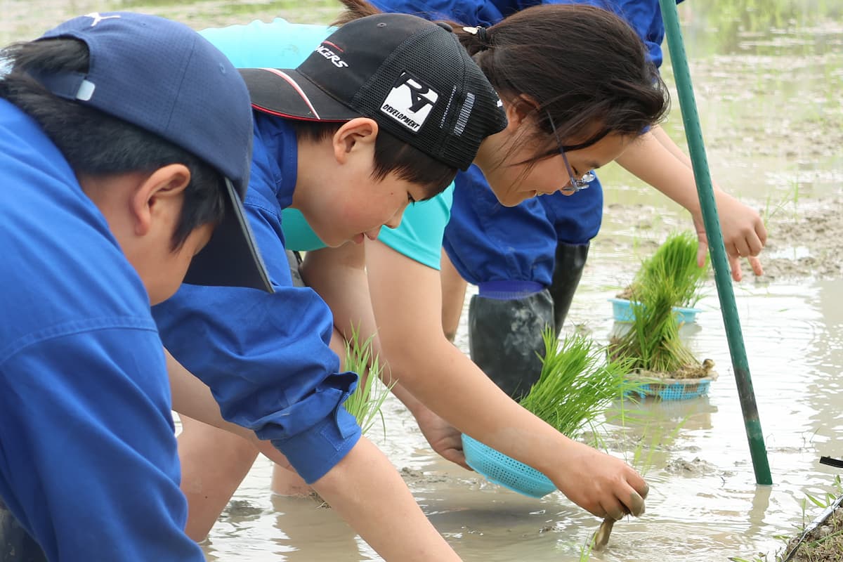 探Qみらいファーム