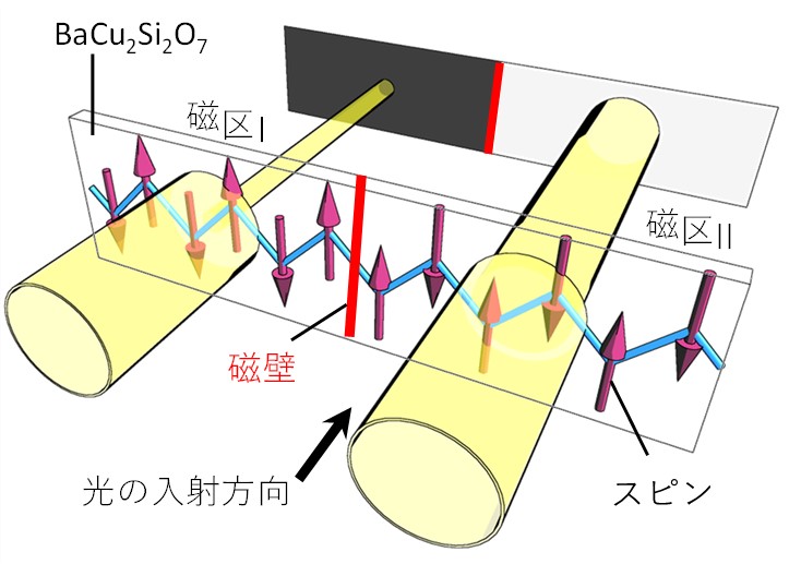 pr20240823_kimura01