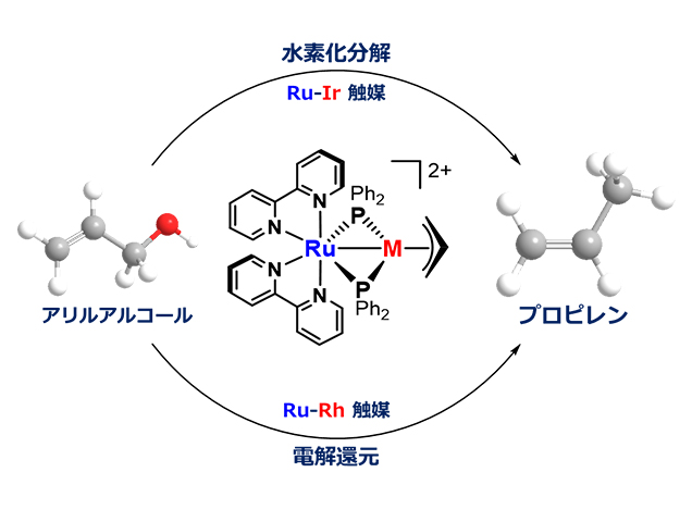 pr20240906_takemoto01