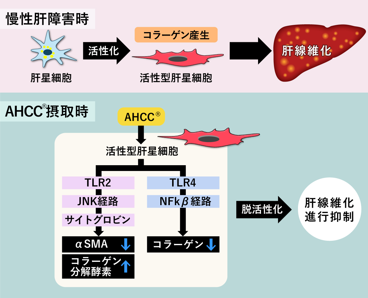 pr20241120_urushima01