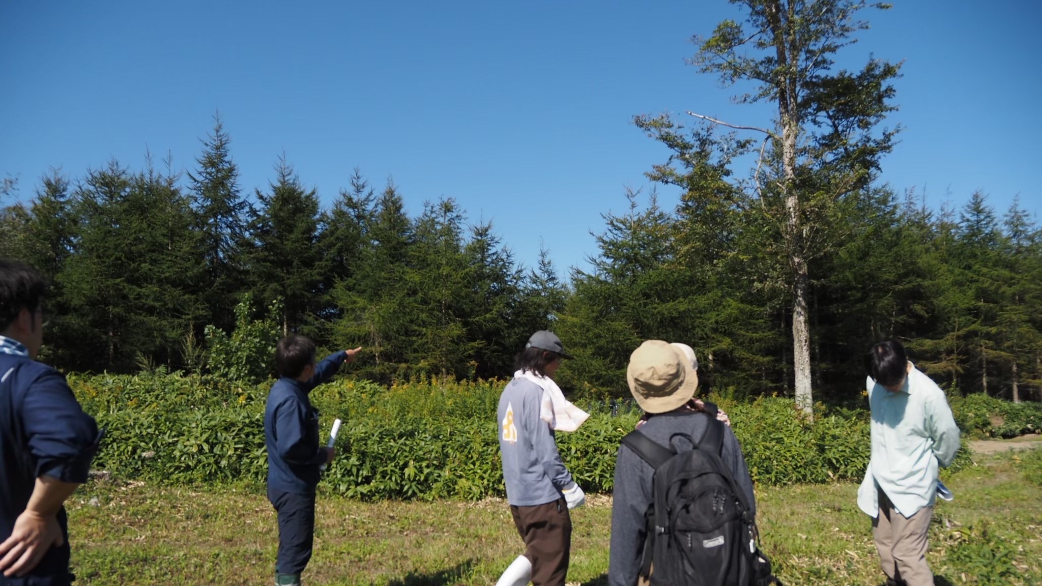 林業現場見学の様子