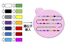 fig_wk08-80