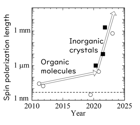 CISS_polarization_length_en