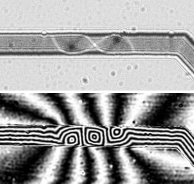 DW Lorentz & Holography