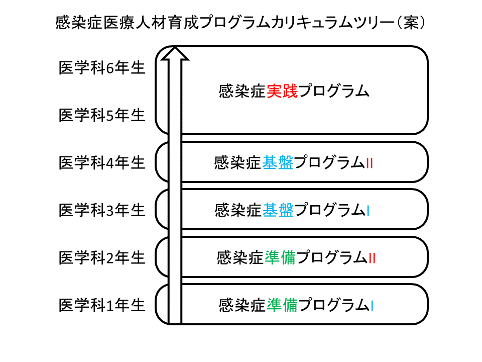 全体像