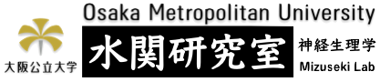 医学研究科 神経生理学