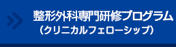 整形外科専門研修プログラム（クリニカルフェローシップ）