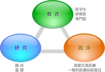 図1　整形外科医局の役割