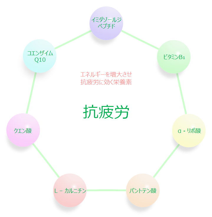 抗疲労に効く栄養素