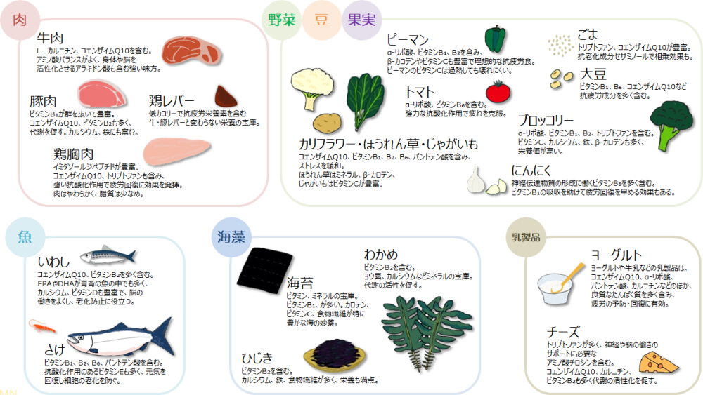 疲れに効く主な食材_2