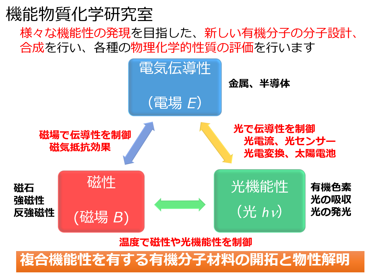 研究概要