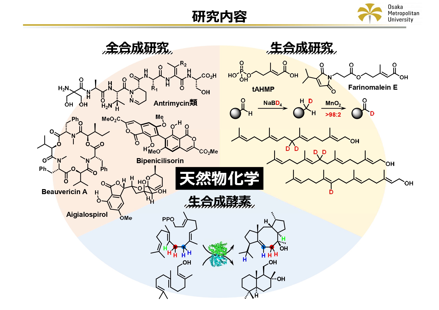 研究内容