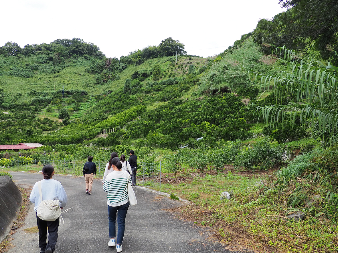 田之浜10